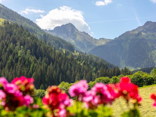 Aussicht vom Ferienhaus