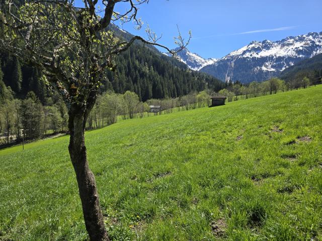 Aussicht vom Ferienhaus