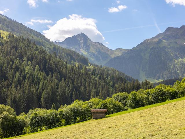 Uitzicht van vakantiehuis