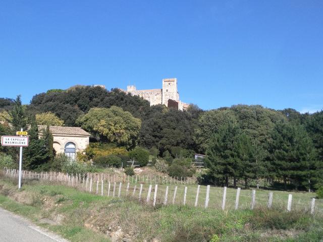 Directe omgeving (<1 km)