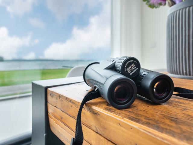 Ambiance / plan rapproché