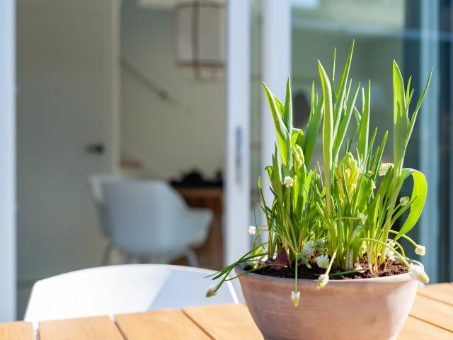 Ambiance / plan rapproché