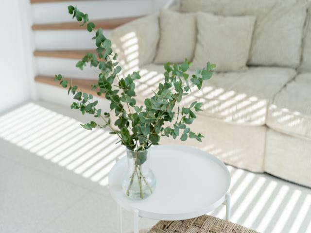 Ambiance / plan rapproché