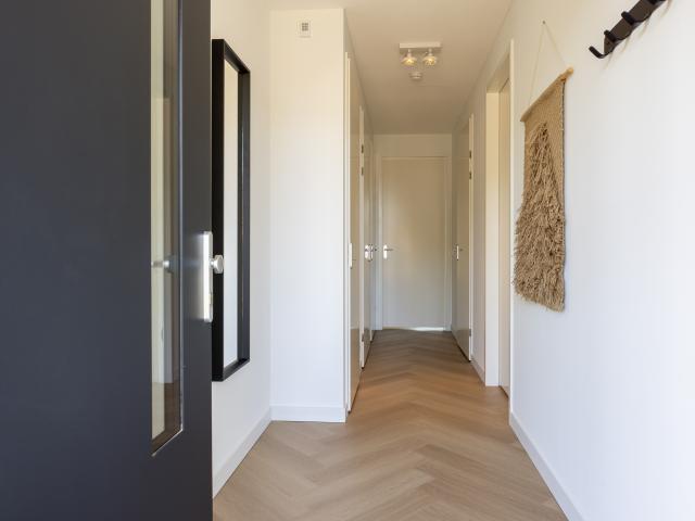 Entrance / Reception