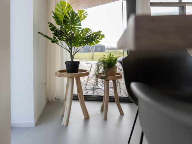 Ambiance / plan rapproché