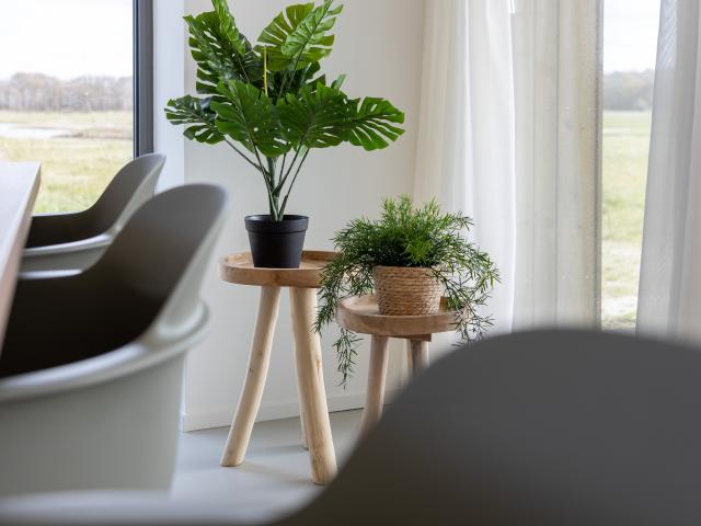 Ambiance / plan rapproché