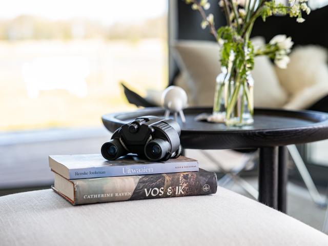 Ambiance / plan rapproché