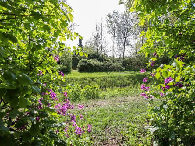 Direkte Umgebung (<1 km)