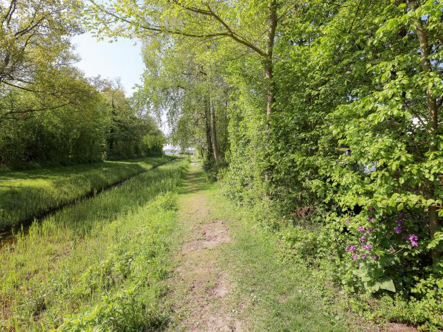 Direkte Umgebung (<1 km)