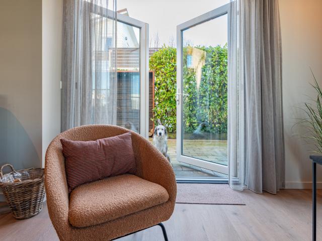 Ambiente / Nahaufnahme