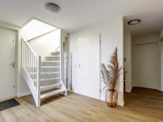 Entrance / Reception