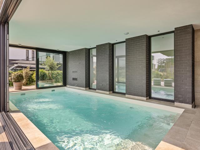 Pool des Ferienhauses