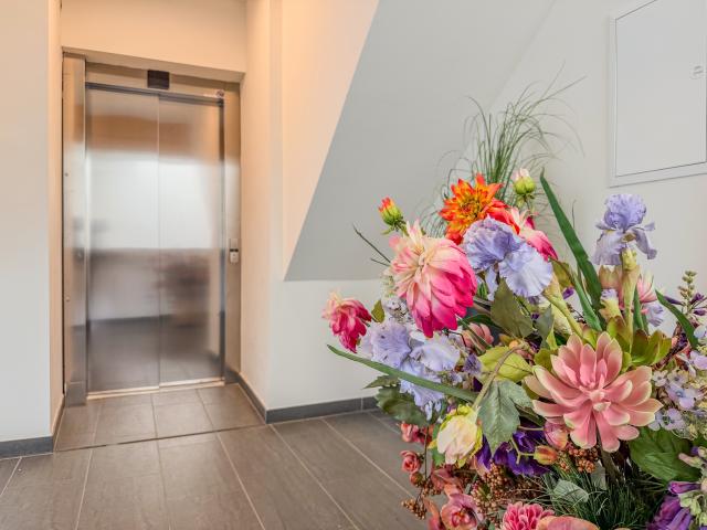 Faciliteiten en service van vakantiehuis