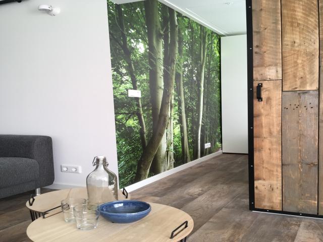 Ambiente / Nahaufnahme