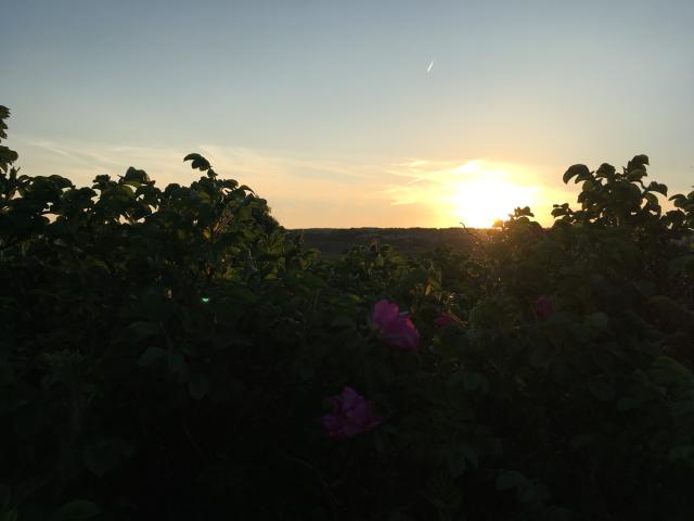 Uitzicht van vakantiehuis