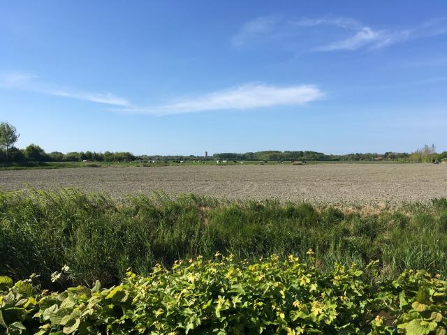 Directe omgeving (<1 km)