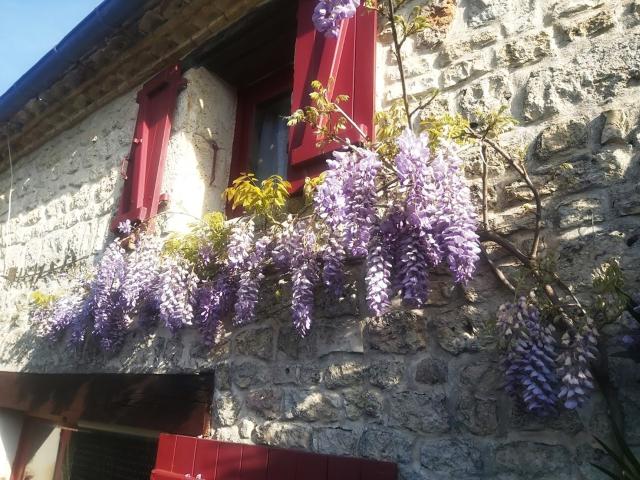 Extérieur maison de vacances