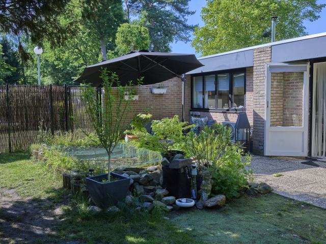Tuin