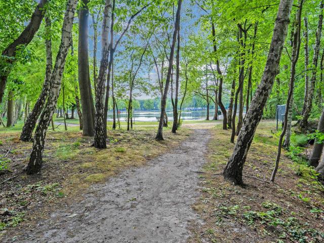 Directe omgeving (<1 km)