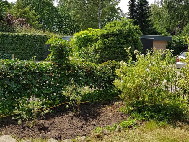 Tuin
