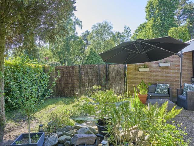 Tuin