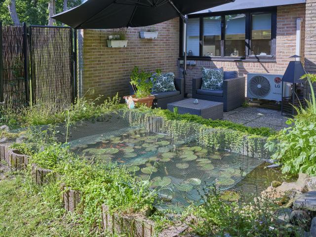 Tuin