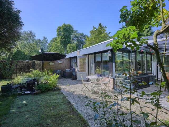 Tuin