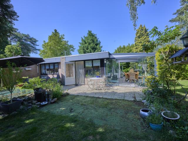 Tuin