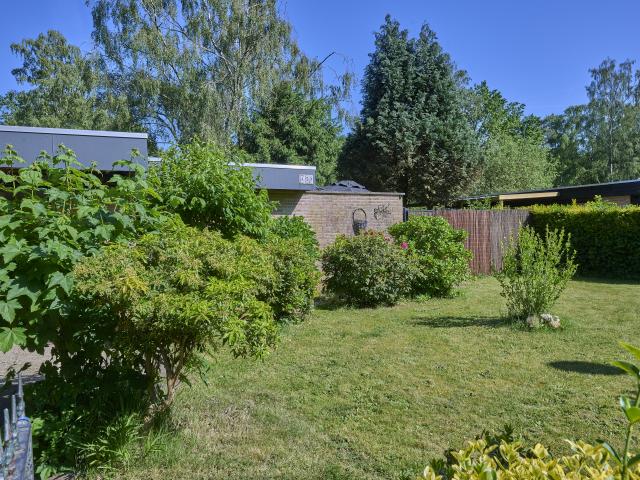 Tuin