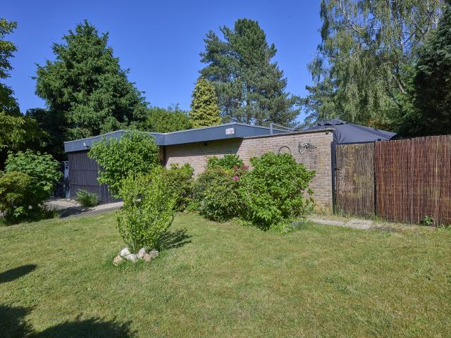 Tuin