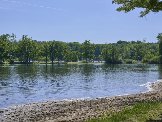 Omgeving (1-5 km)