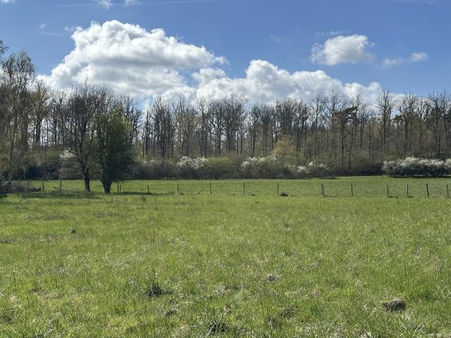 Immediate Surroundings (<1 km)