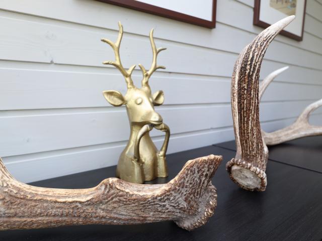 Ambiente / Nahaufnahme