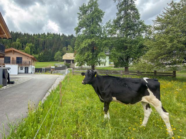Directe omgeving (<1 km)