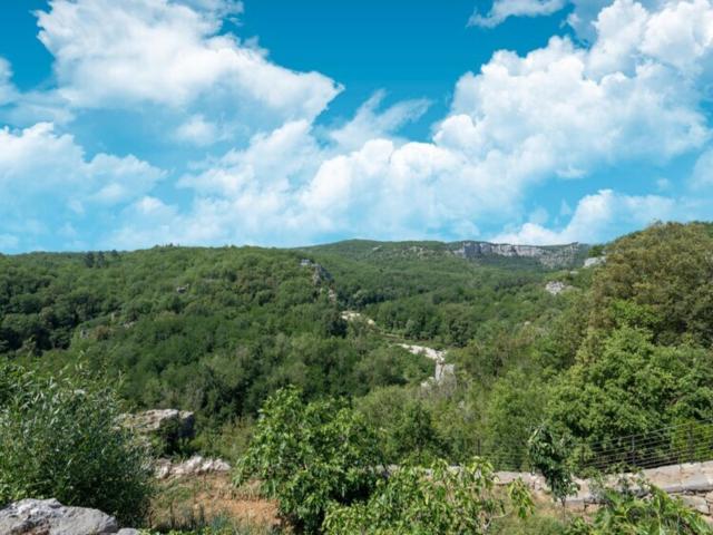 Directe omgeving (<1 km)