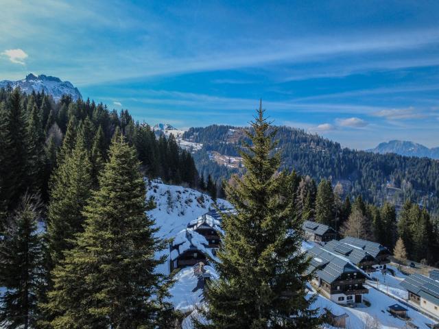 Directe omgeving (<1 km)