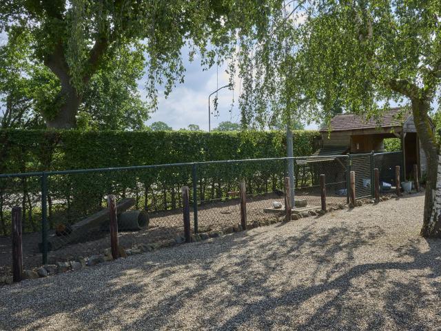 Tuin