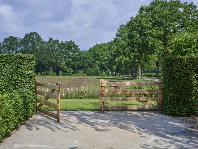 Uitzicht