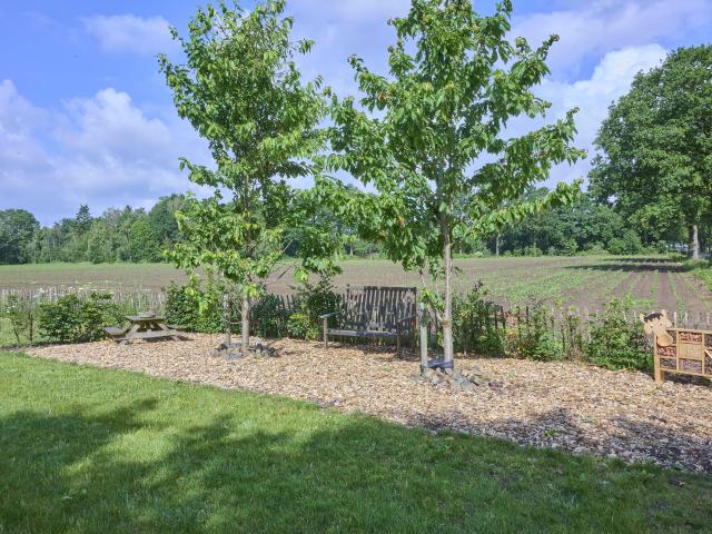 Tuin