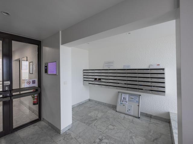 Entrance / Reception