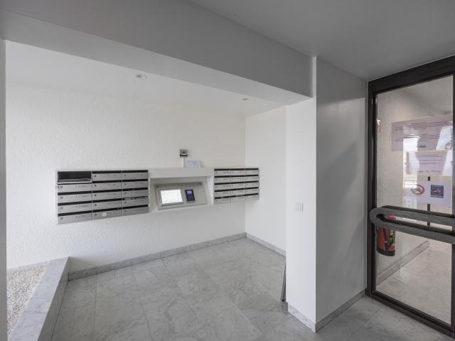 Entrance / Reception