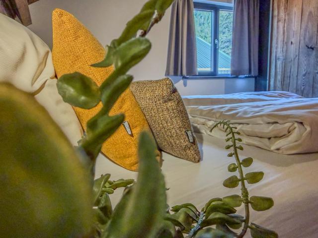 Ambiente / Nahaufnahme