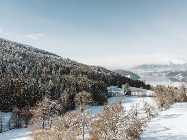 Directe omgeving (<1 km)