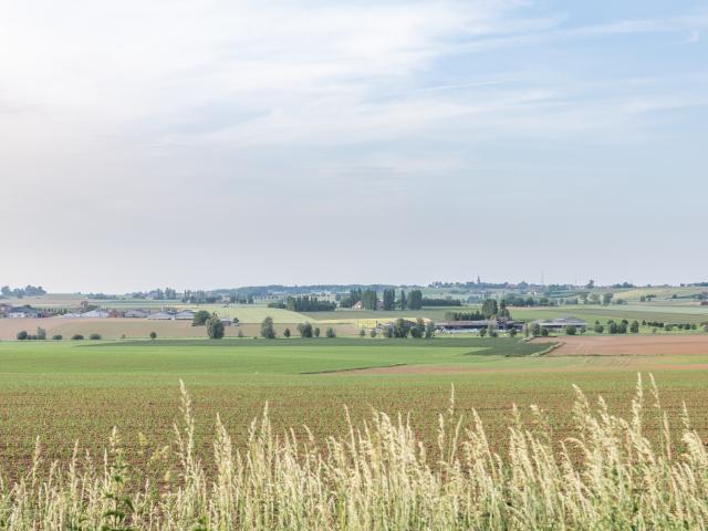 Vue