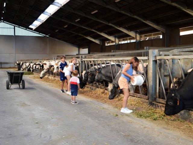 Direkte Umgebung (<1 km)