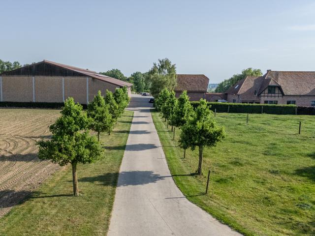Vue
