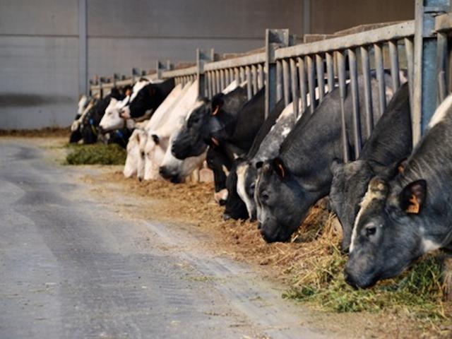 Direkte Umgebung (<1 km)