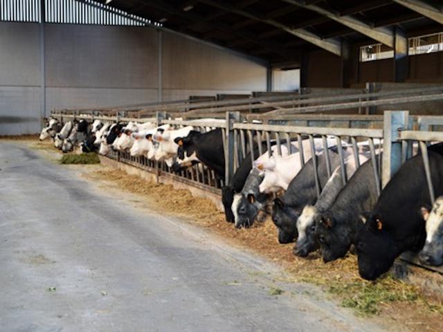 Direkte Umgebung (<1 km)