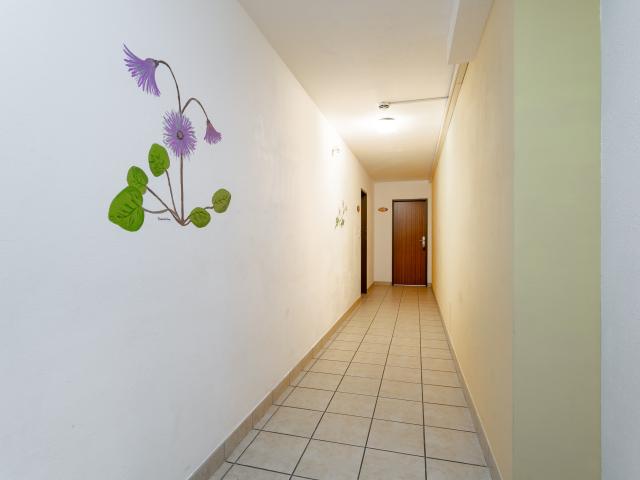 Hall d'entrée / Réception