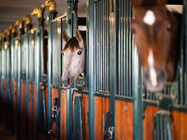 Directe omgeving (<1 km)